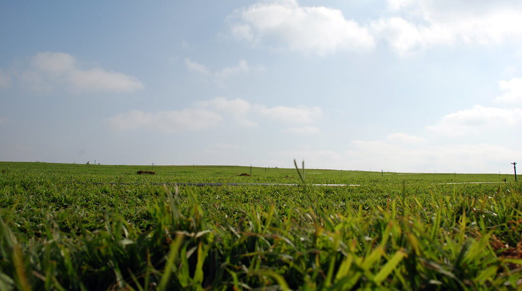 Ashfield Nonprofit Secures $171K to Boost Climate-Resilient Agriculture in Kentucky and Hawaii