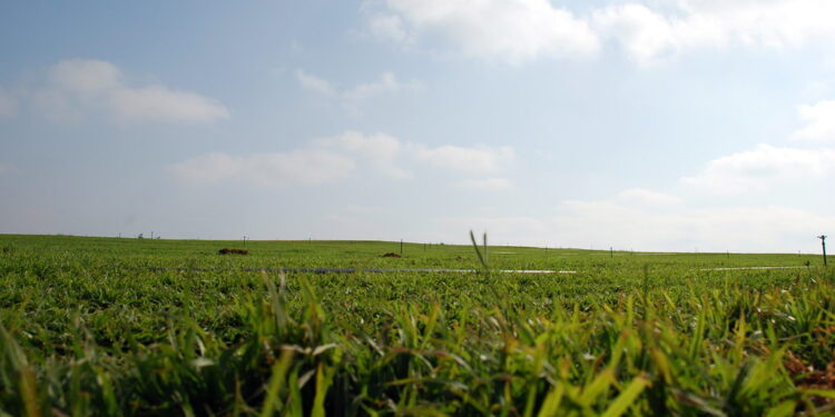 Ashfield Nonprofit Secures $171K to Boost Climate-Resilient Agriculture in Kentucky and Hawaii