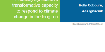 UN | Call to Action on Extreme Heat