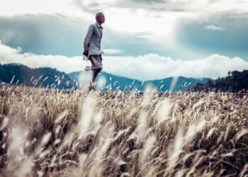 person walking on pathway beside plants during daytime