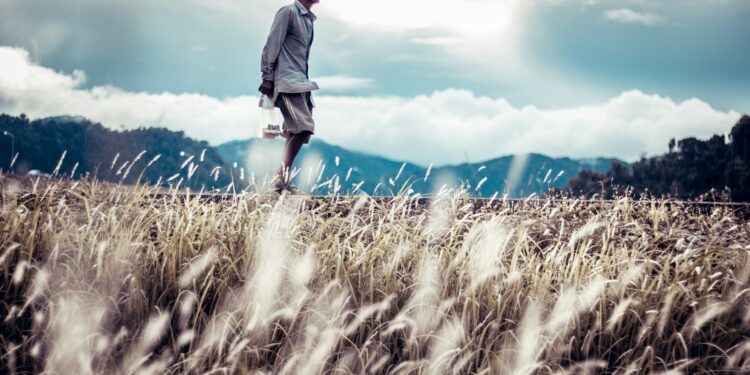 person walking on pathway beside plants during daytime