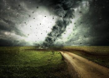 cyclone, storm, hurricane, clouds, weather, the atmosphere, power, rotate, tornado, typhoon, wind, destruction, rain, nature, broken, dangerous, damage, cloudy, force of nature, catastrophe, civil protection, climate change, climate protection, environmental protection, natural disaster, landscape, path, dark, cyclone, storm, storm, storm, hurricane, tornado, tornado, tornado, tornado, tornado, wind, wind, rain, rain, climate change, climate change, climate change, climate change