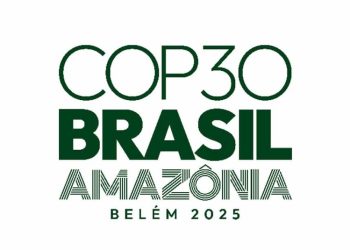 What COP30 Delivered ?