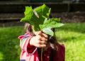 girl in pink jacket holding green maple leaf