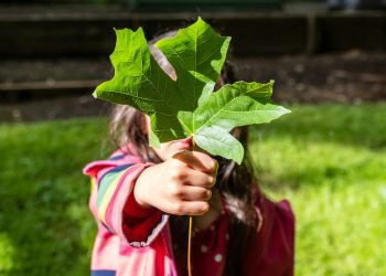 girl in pink jacket holding green maple leaf